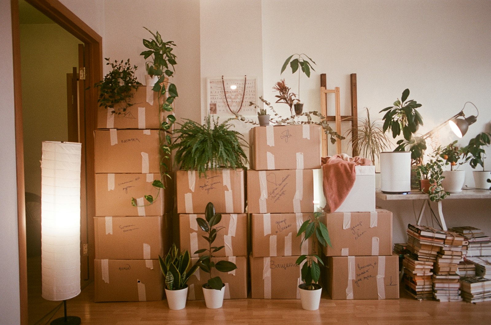 Storage & Home
