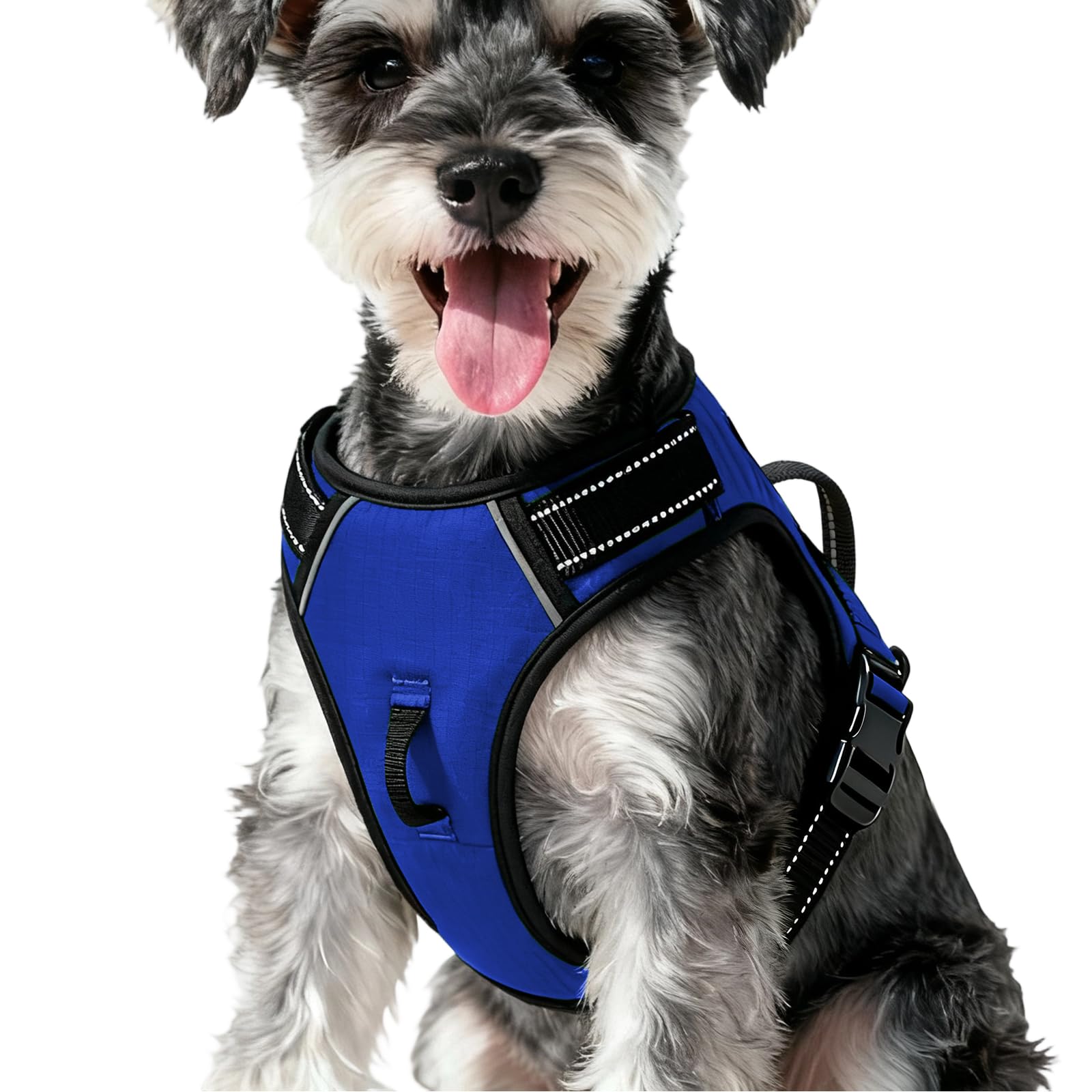 No-Pull Dog Harness — Dazzling Blue
