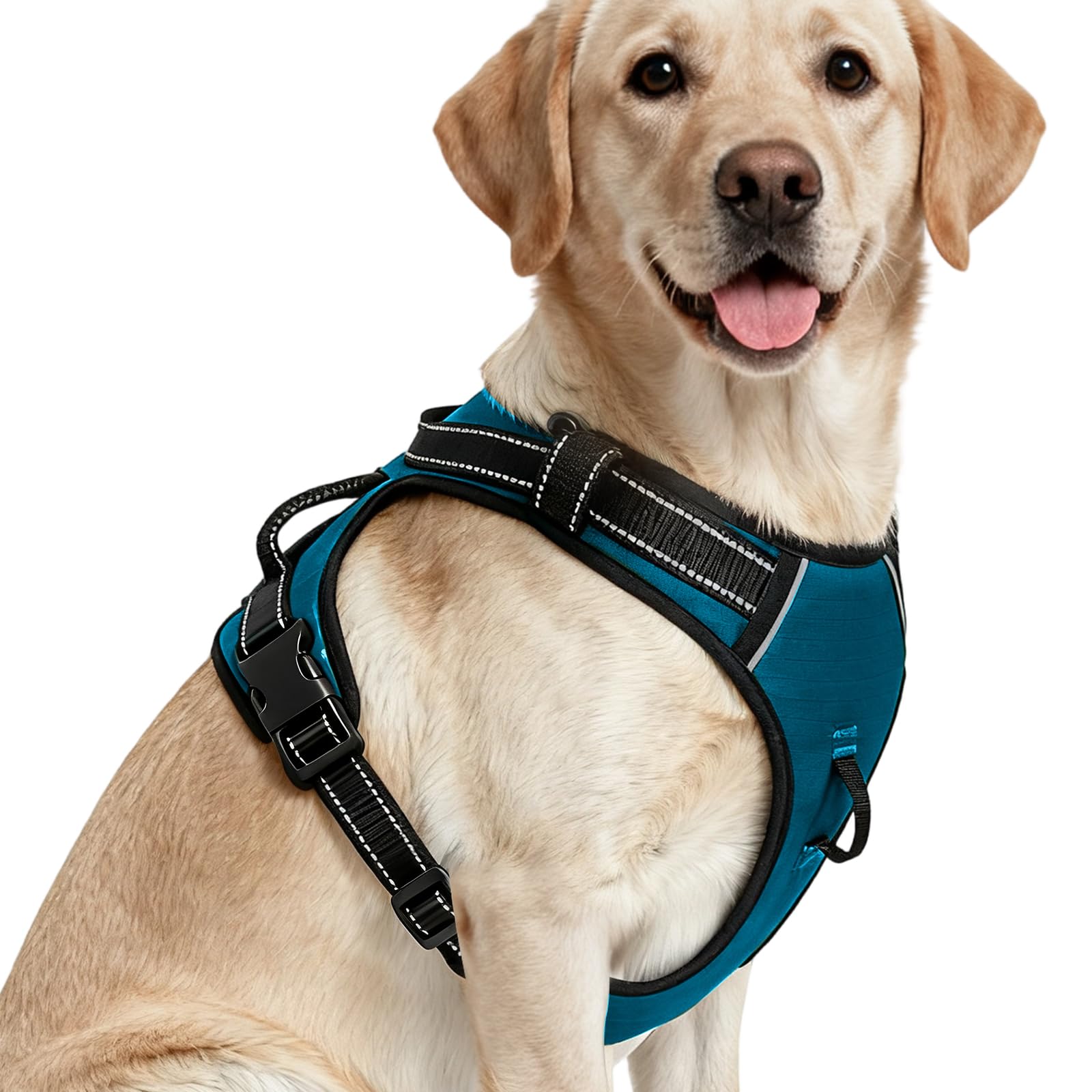 No-Pull Dog Harness — Frosted Aqua
