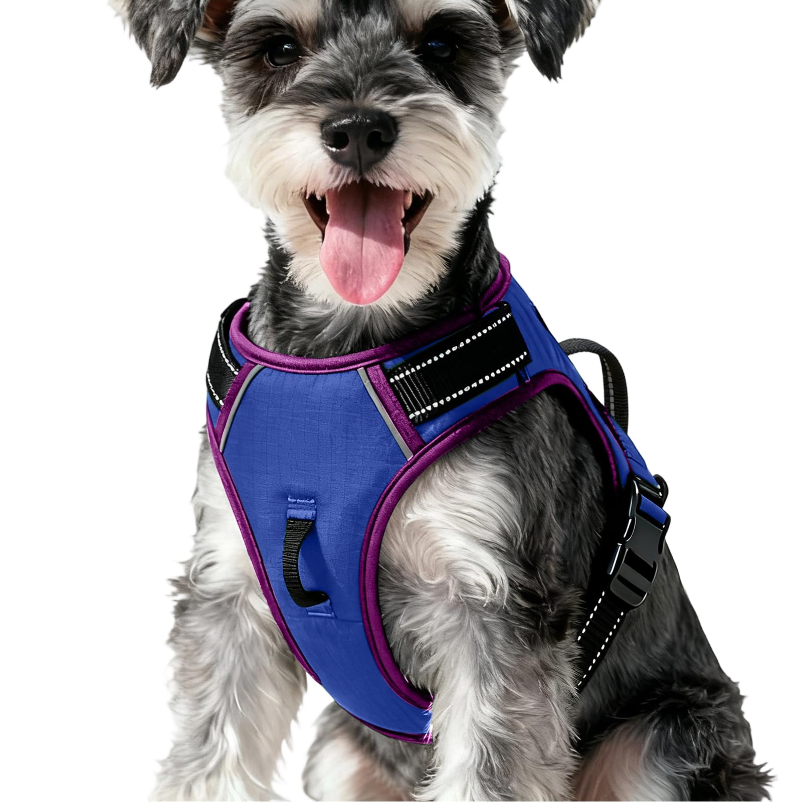 No-Pull Dog Harness — Blue/Purple