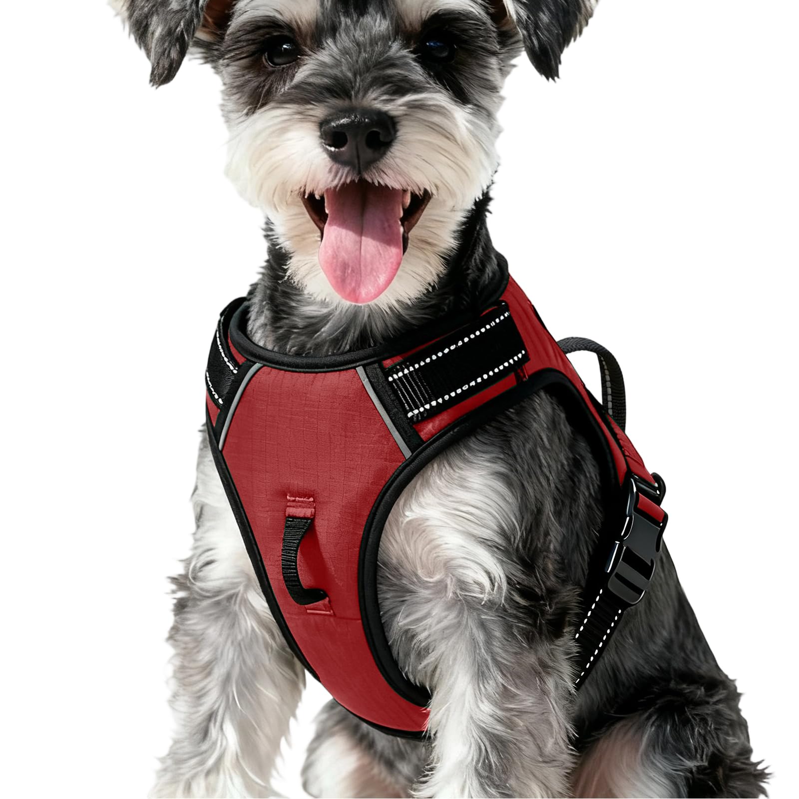 No-Pull Dog Harness — Antique Rose